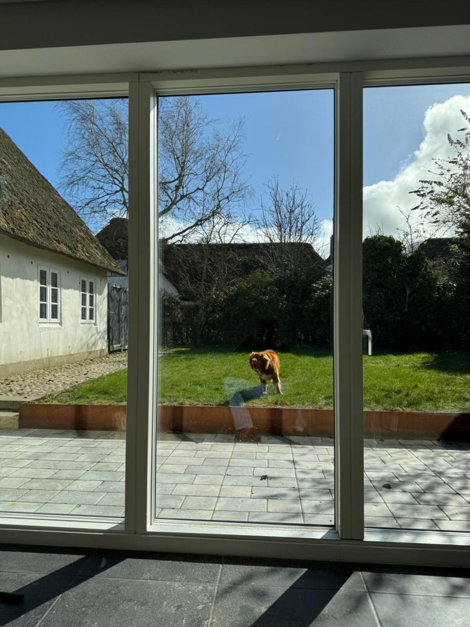 Kapitaenshaus Von 1712 - Neu Saniert Daire Nieblum Dış mekan fotoğraf